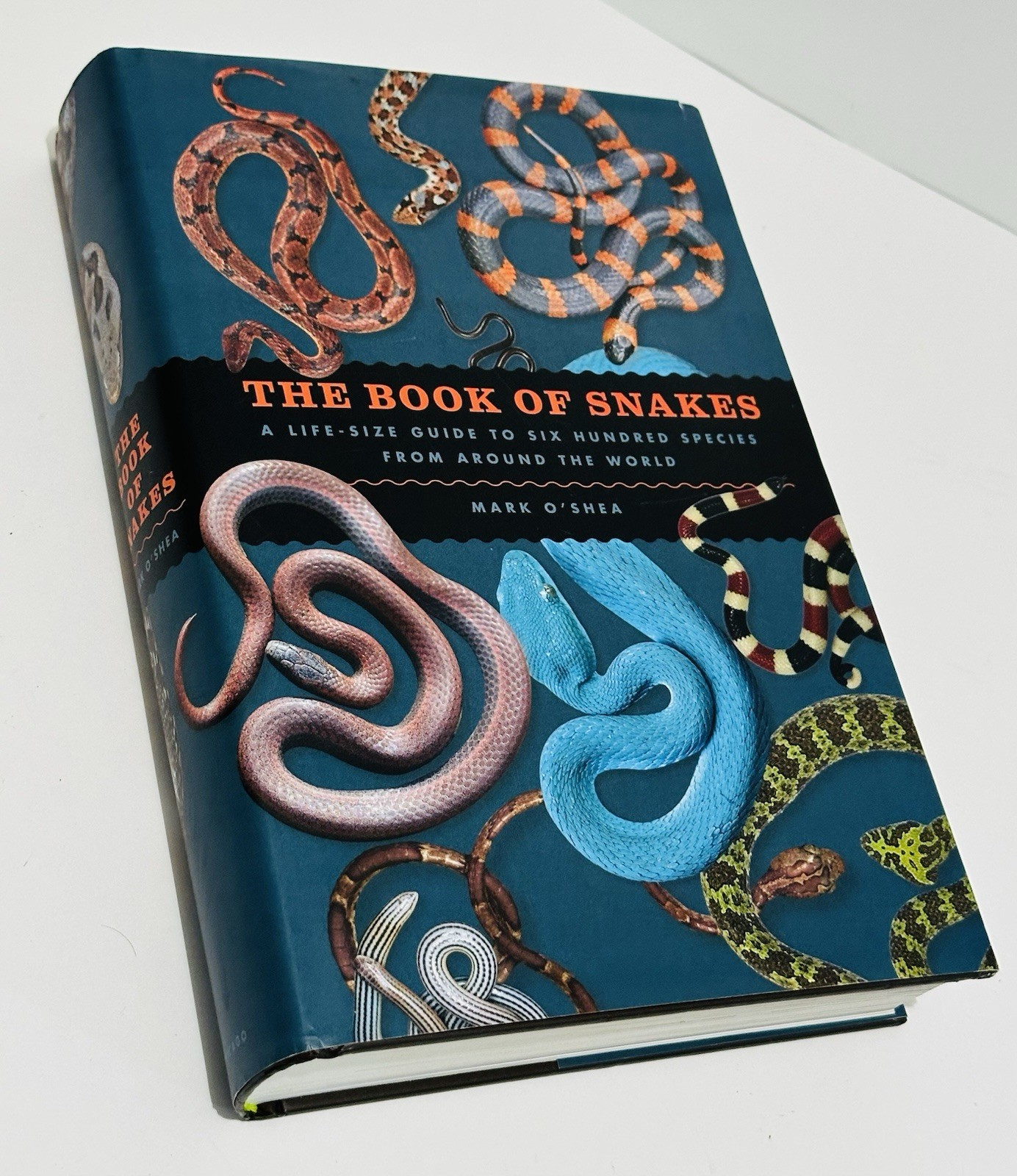 Book of Snakes: A Life-Size Guide to Six Hundred Species From Around the World
