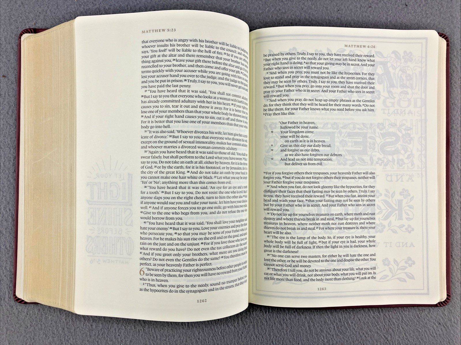 The Daily Grace Co Illuminated ESV Bible Art Journaling Softcover With Box