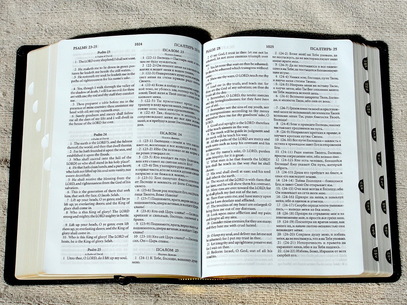 Russian/English Parallel Bible, Blue Bonded Leather, Synodal/King James Version