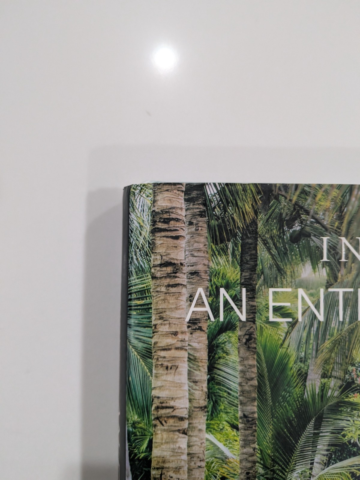 India Hicks: An Entertaining Story | 2020 Hardcover | Rizzoli | Brooke Shields