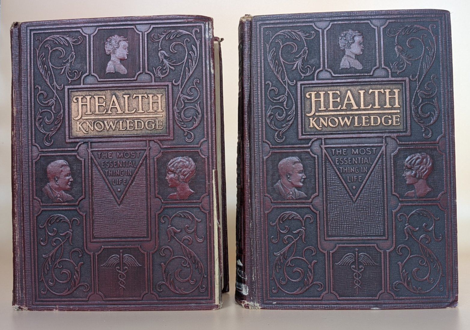 Health Knowledge 2 Vol Set 1927 Medical Anatomy Flap Illustrations Corish