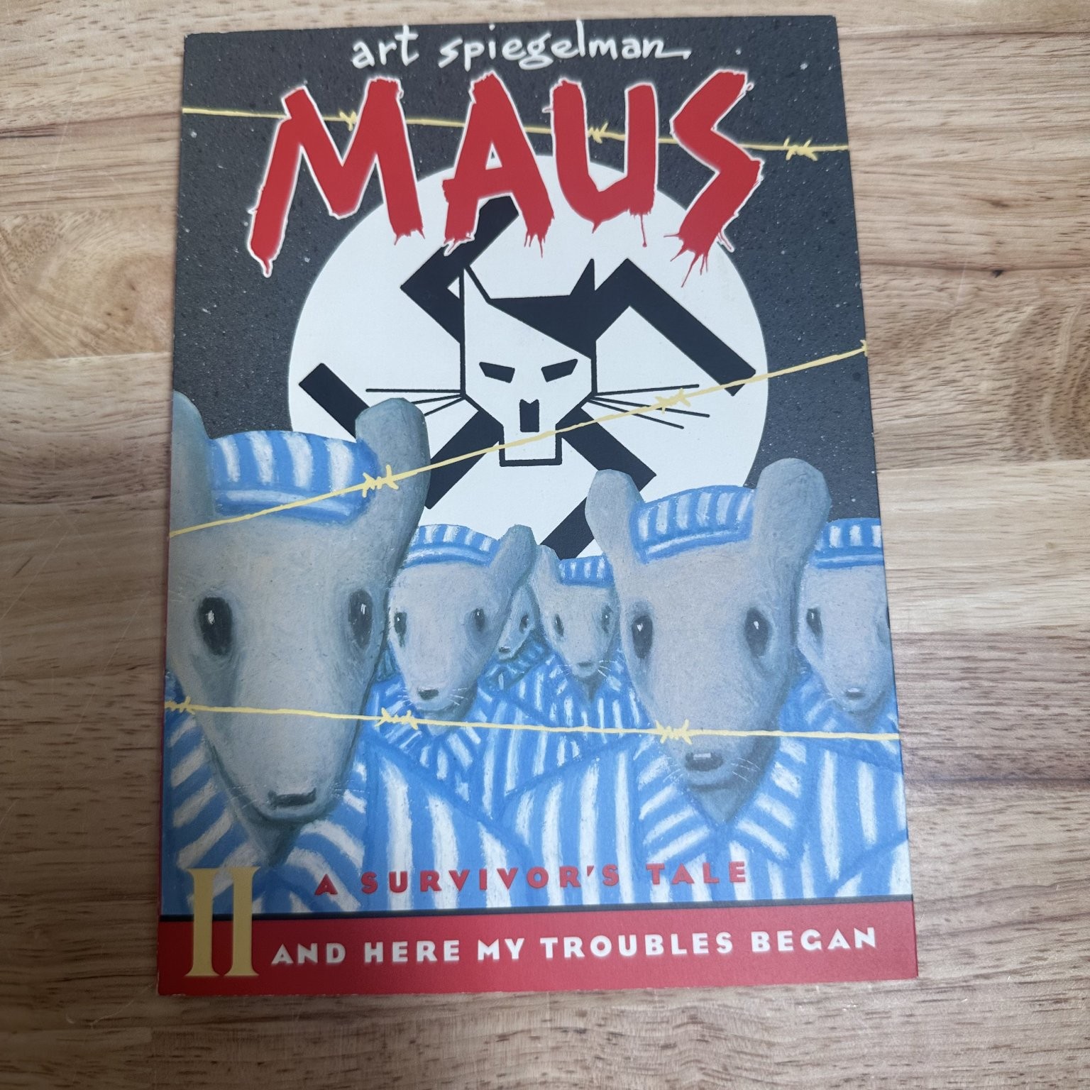 Maus I & II Art Spiegelman Graphic Novel Holocaust Memoir Pantheon Box Set