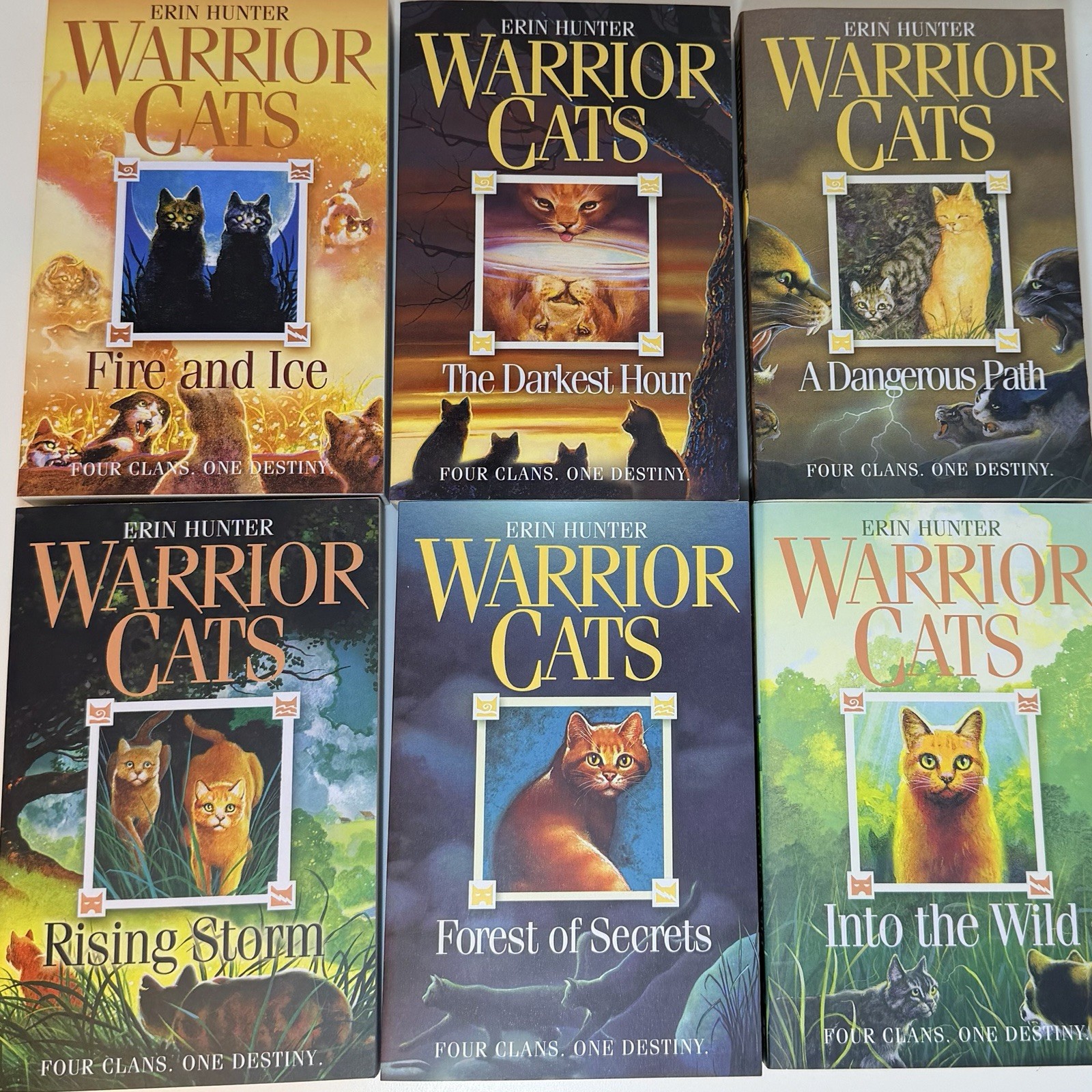 Warrior Cats Volume 1 to 12 PAPERBACK Books Collection Set by Erin Hunter
