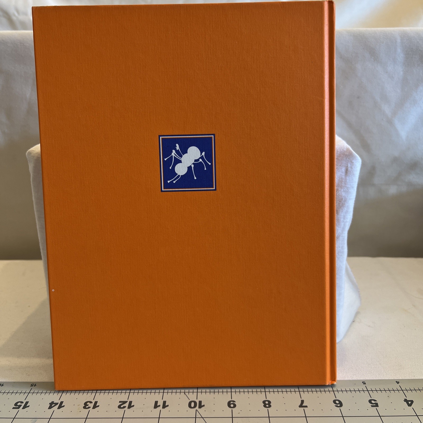 Book Play With Your Food Hard Cover Dust Jacket Joost Elffers 109 Pages