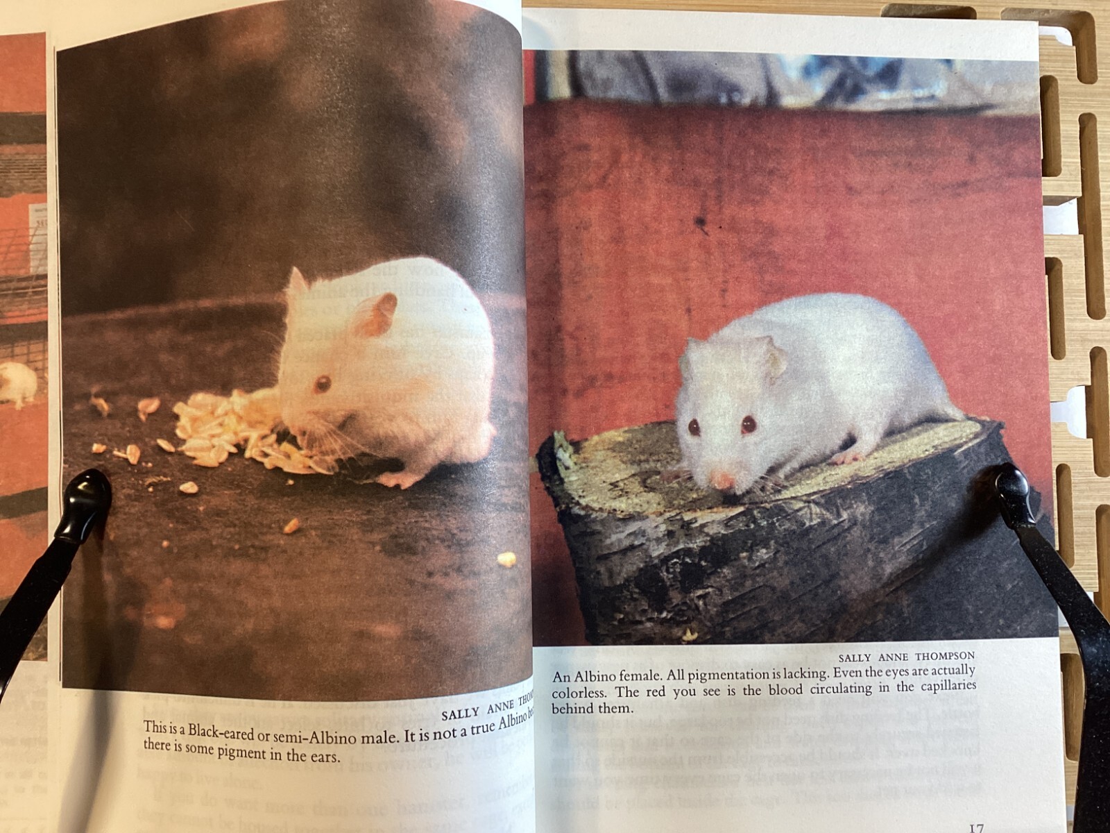 Know Your Hamster – Earl Schneider – 64 Pages -Pet Library No 754 -Free Shipping