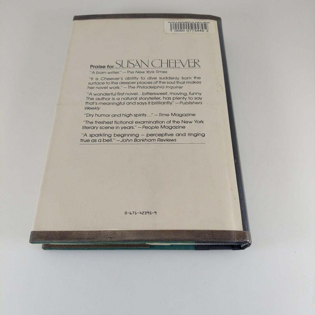 A Handsome Man Susan Cheever 1981 Simon And Schuster 1st Print HCDJ Ex-Library