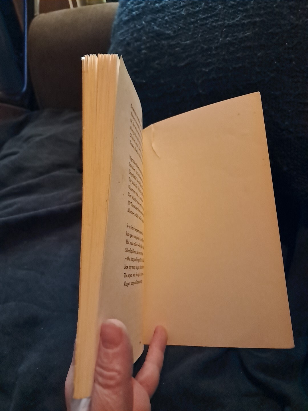 Good ‚Hart Crane’s The Bridge‘ Commentaries by W. Frank & T. Vogler – 1970 PB