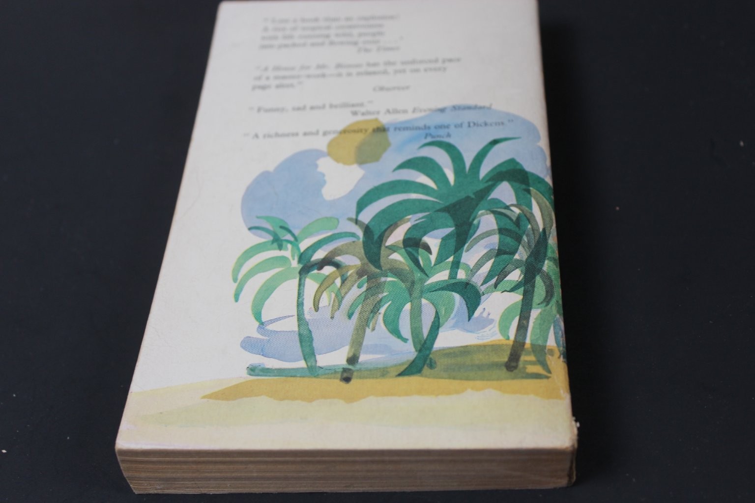 A House for Mr Biswas V. S. Naipaul 1966 Second Impression Fontana Library PB