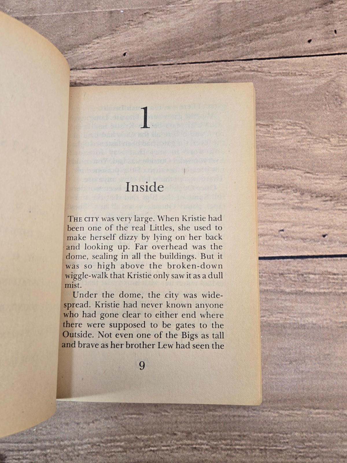 Outside Andre Norton 1976 Camelot PB 2nd Printing Juvenile Fantasy Illustrated