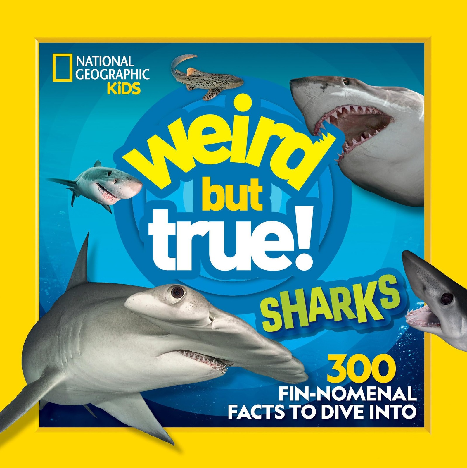 Weird But True! Sharks: 300 Fin-nomenal Facts to Dive Into – paperback Natio…