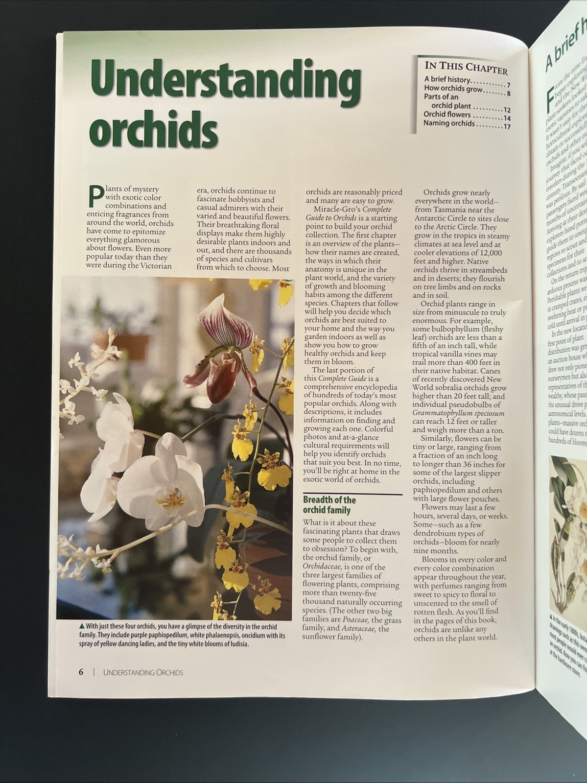 Orchids : Grow Beautiful Flowers with Confidence and Ease by Miracle-Gro…