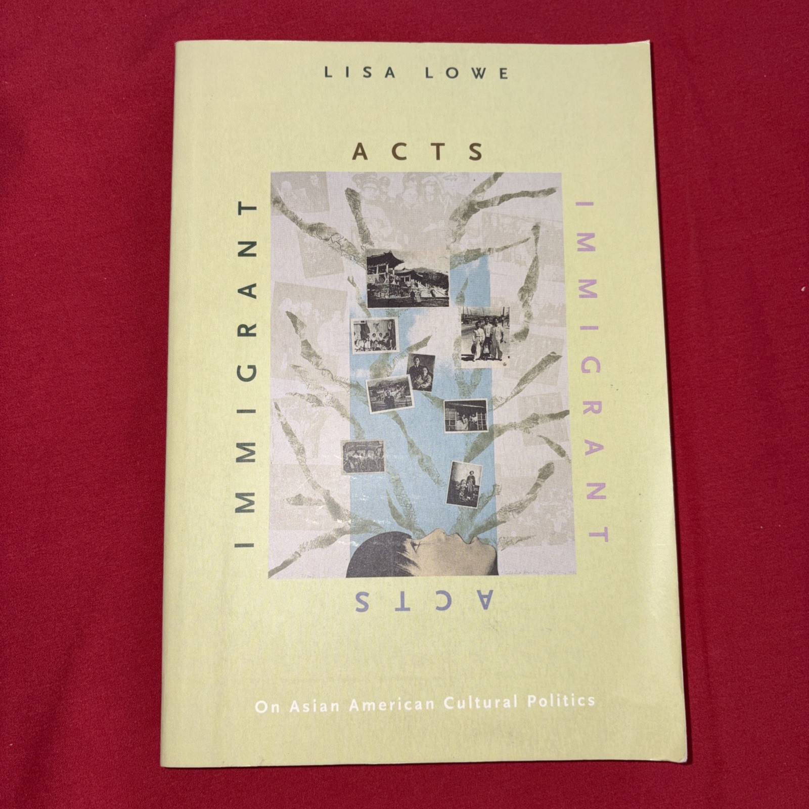 Immigrant Acts: On Asian American Cultural Politics