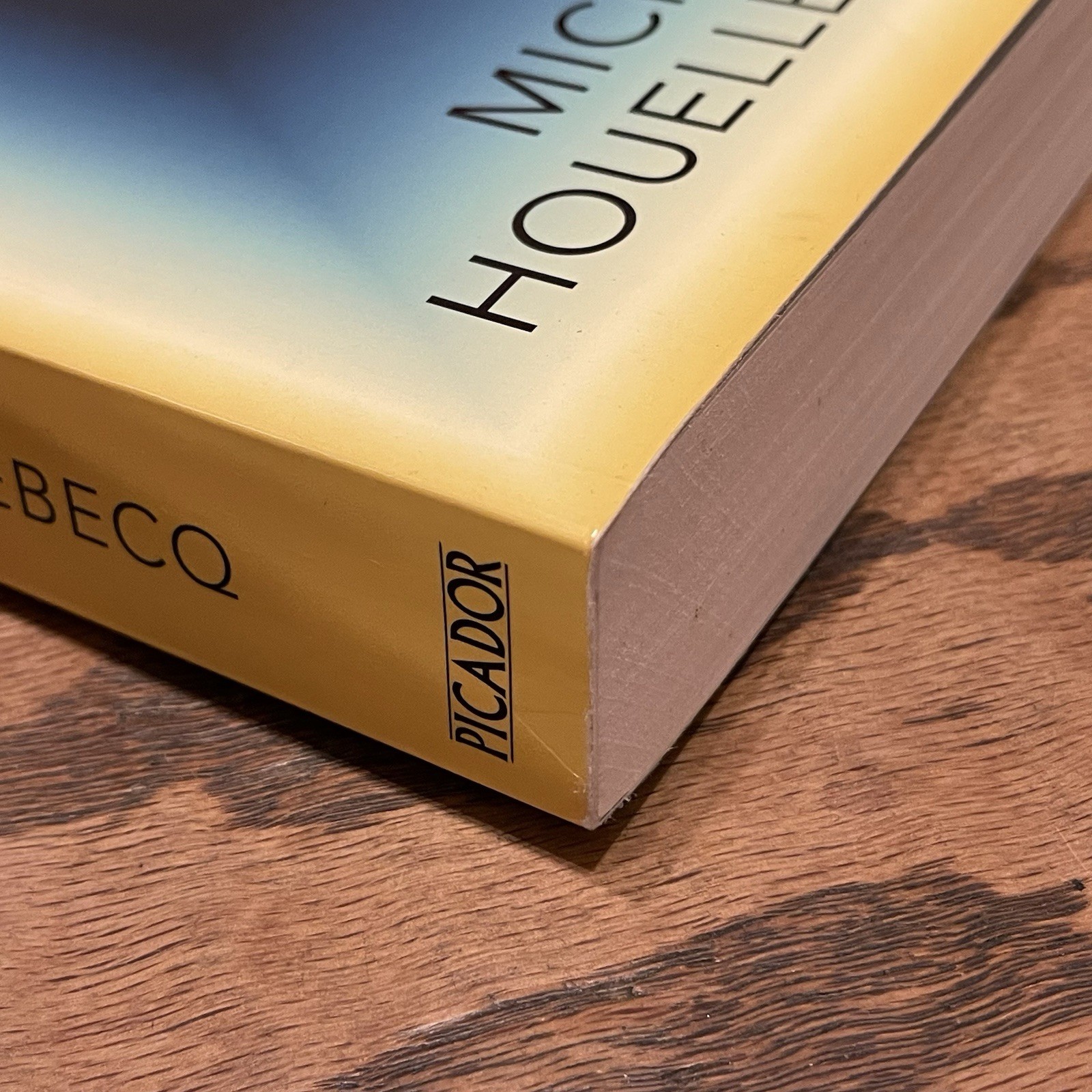 Annihilation (2024) Michel Houellebecq 2nd Printing Trade Paperback UK Import