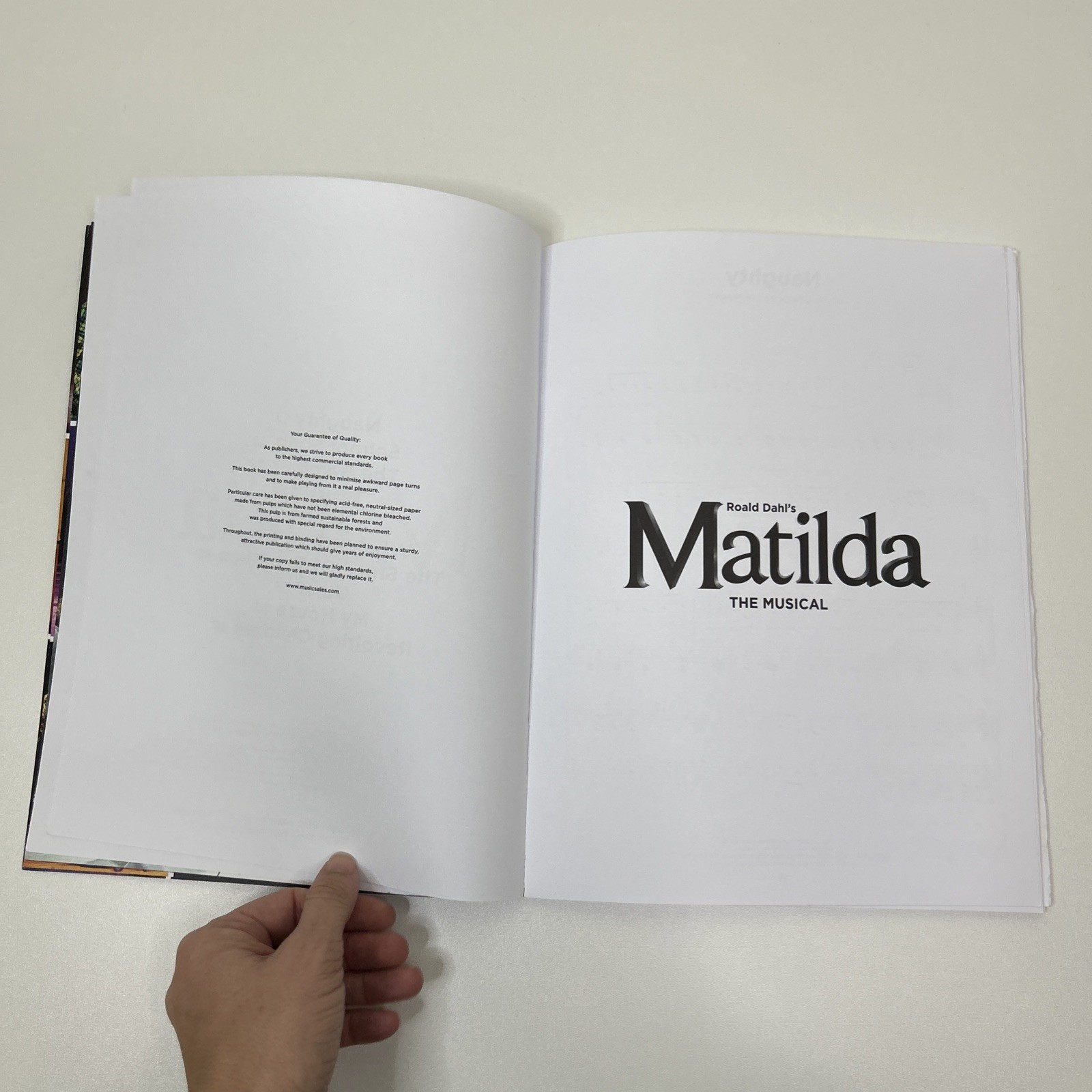 Matilda the Musical by Tim Minchin (2013, Trade Paperback)