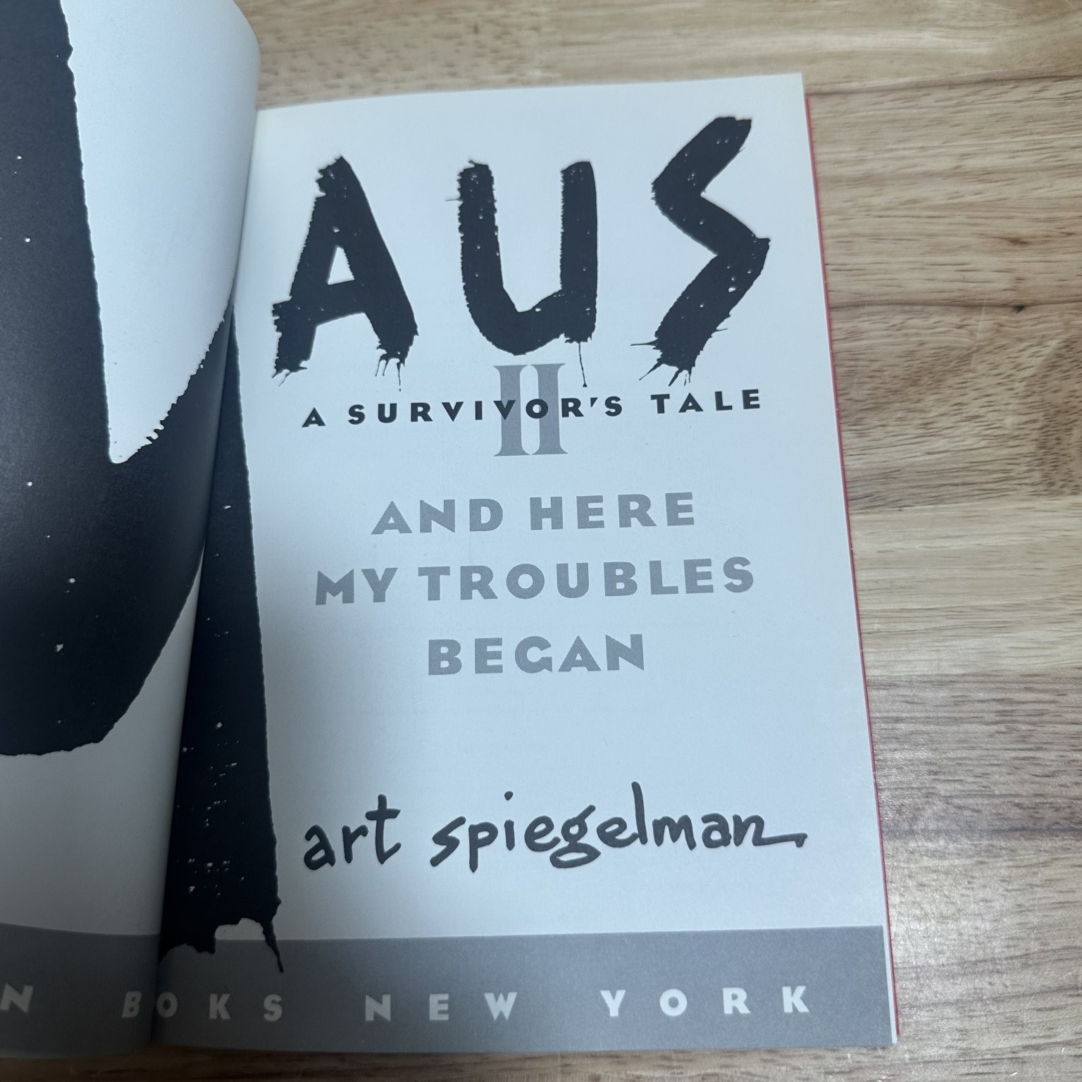 Maus I & II Art Spiegelman Graphic Novel Holocaust Memoir Pantheon Box Set