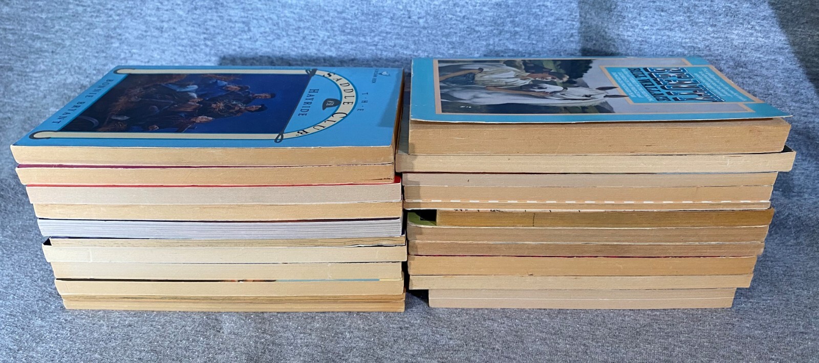Horse Equestrian Books 29 in Lot 5HC & 24PB Chapter Picture Riding Veterinarian