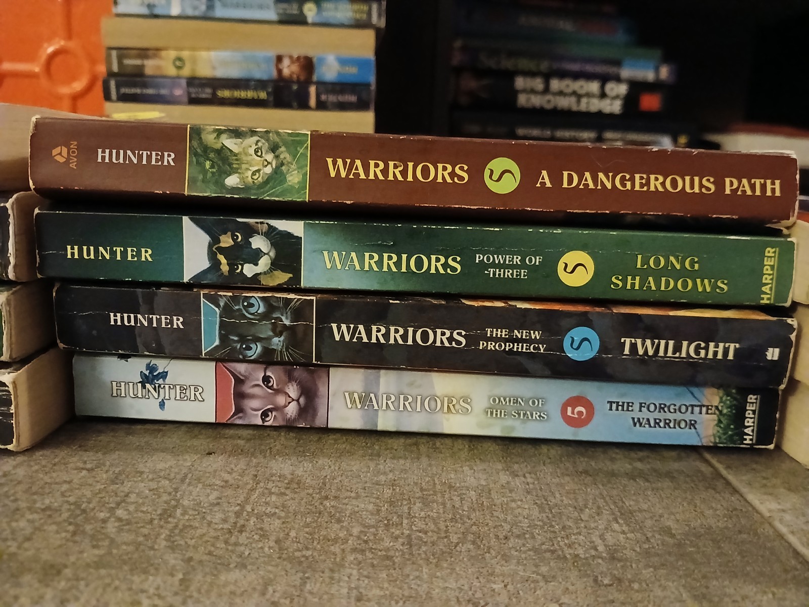 Erin Hunter Warriors Paperback Book Lot 11: Eclipse, Starlight, Twilight + More