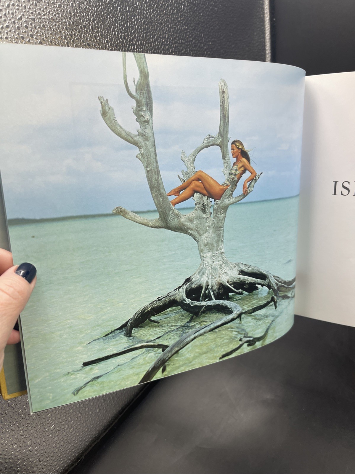 ISLAND LIFE Inspirational Interiors-Hicks,I. & Wood, David F. 1st Ed.(2003) HC