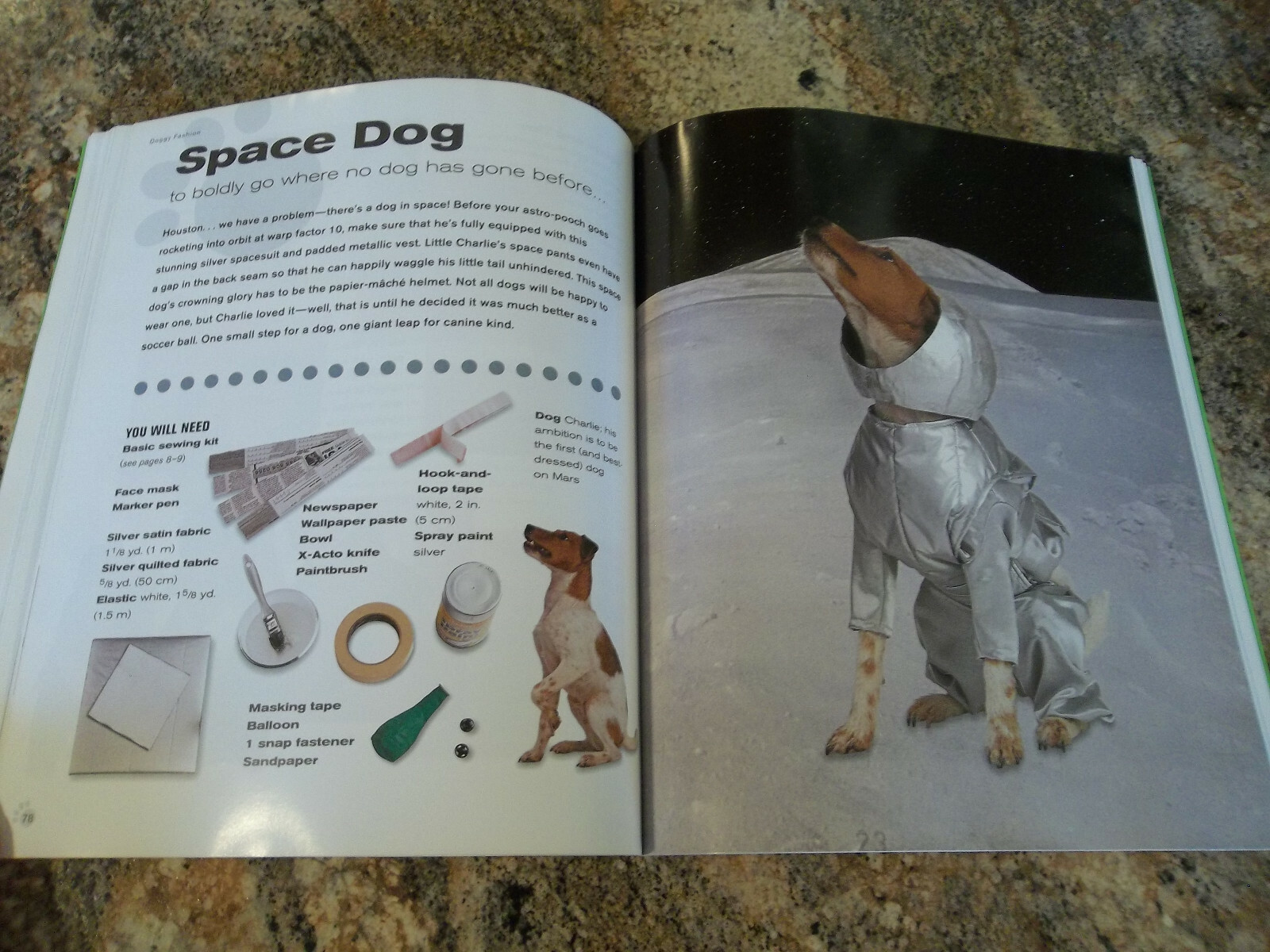 Doggy Fashion by Jenkins, Alison – Fancy Dress and Chic Costumes for The Dog in