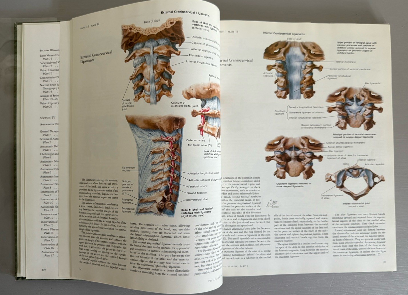 Ciba Collection of Medical Illustrations Volume 1 Nervous Systems Part 1 Netter