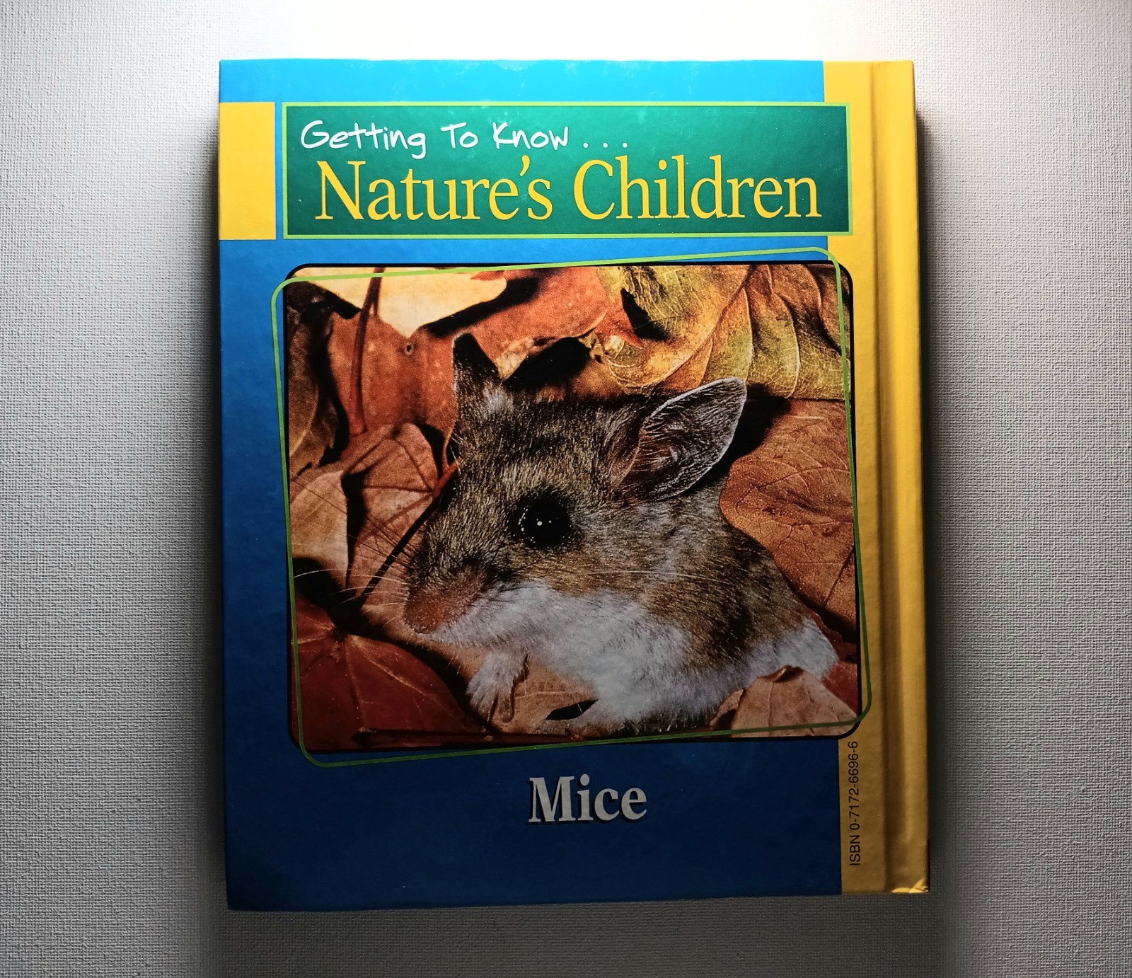 Scholastic Getting to know Nature’s children Animal Books Lot of 6 (hard cover)