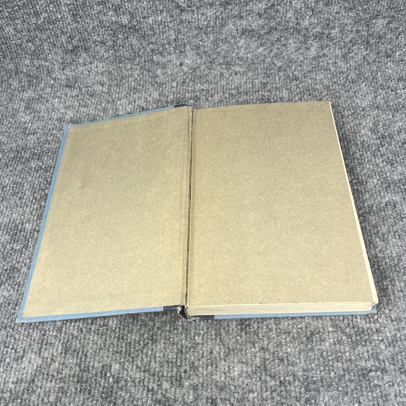 Everything That Rises Must Converge Flannery O’Connor 1965 Hardcover Short