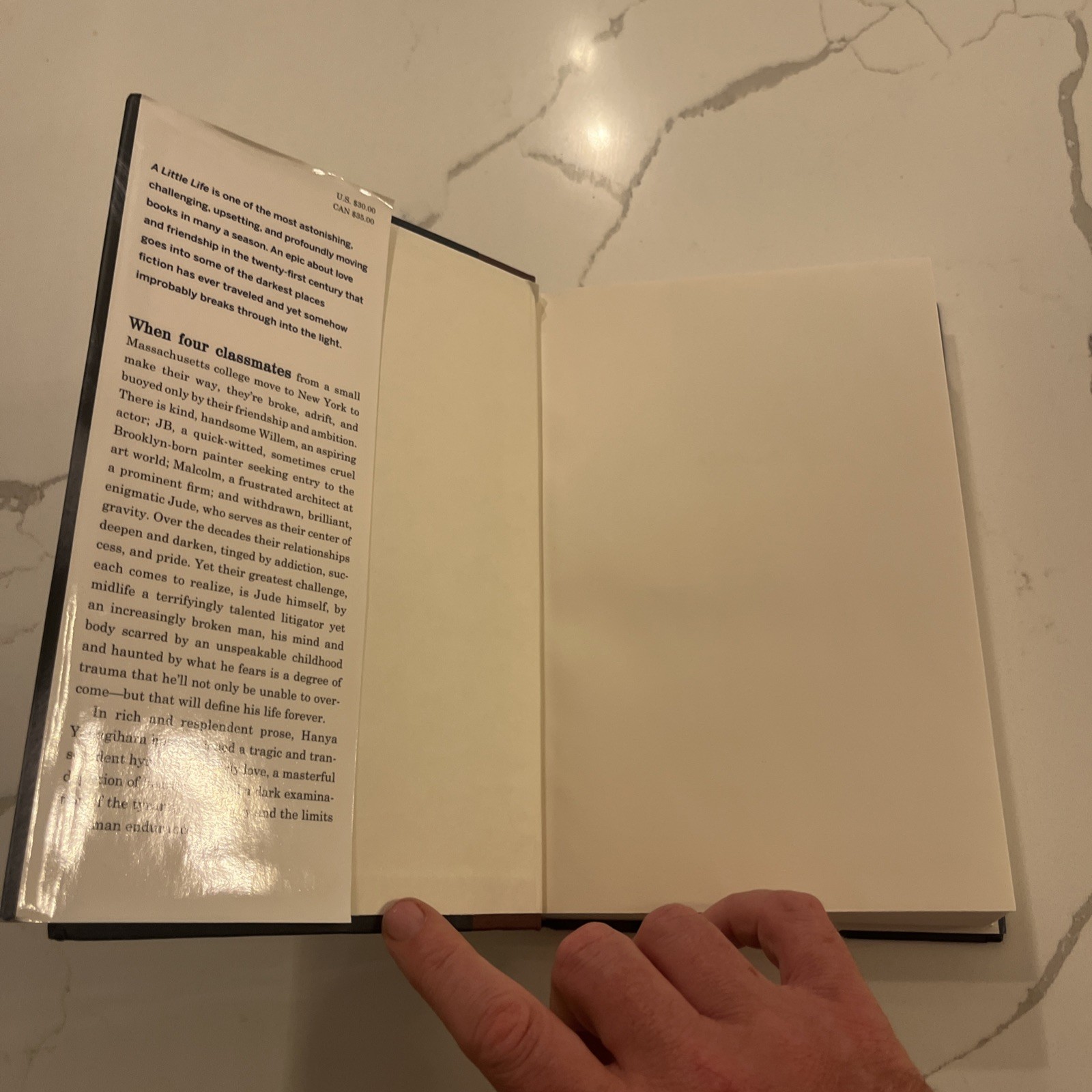 A Little Life by Hanya Yanagihara (2015, Hardcover) First Edition
