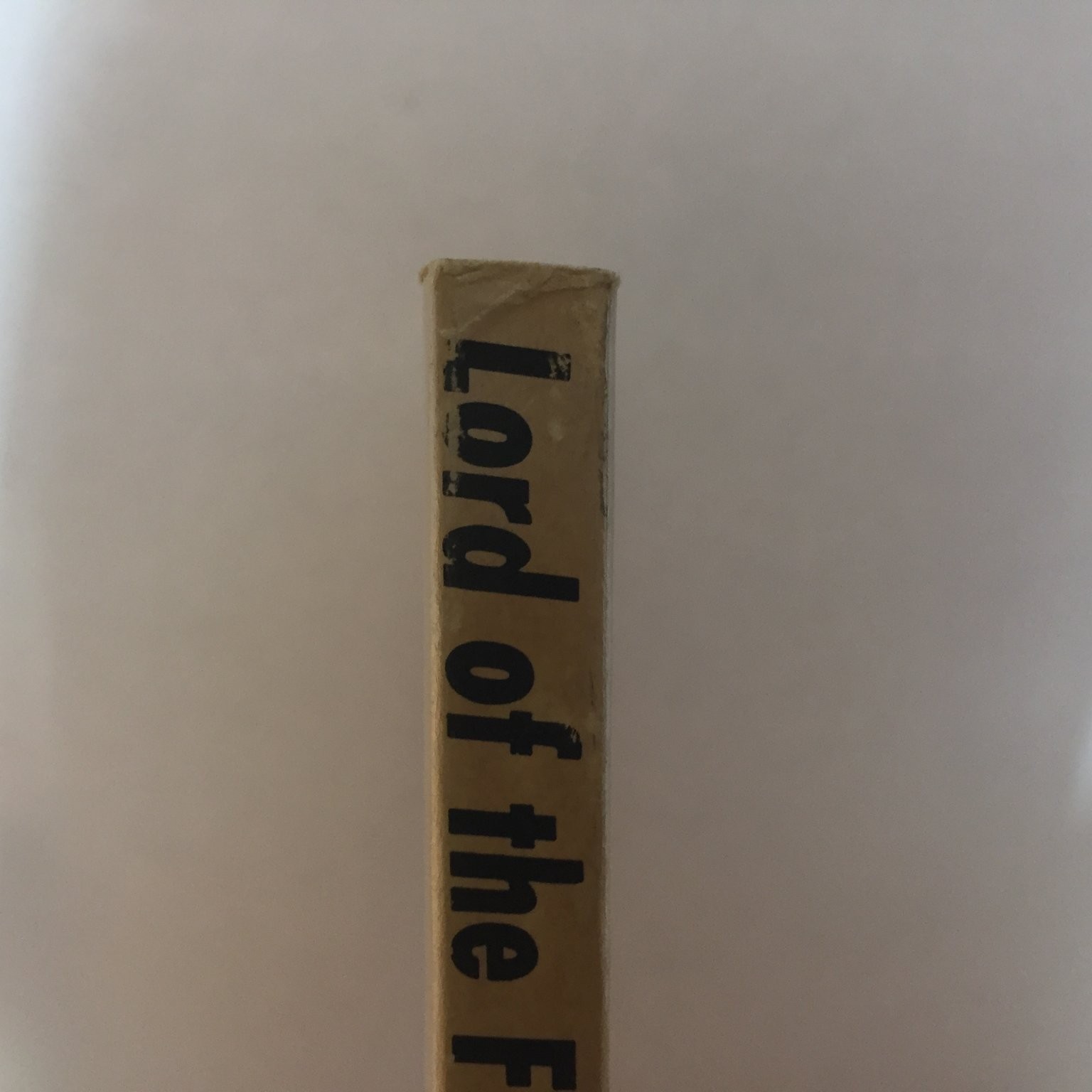 Lord of the Flies William Golding 1959 Capricorn Books Psychological Allegory