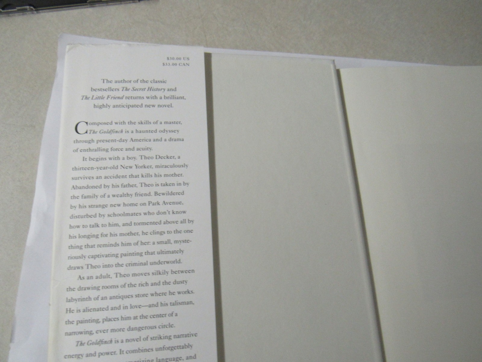 The Goldfinch (Pulitzer) Donna Tartt 2013 HCDJ 1st ed 1st printing