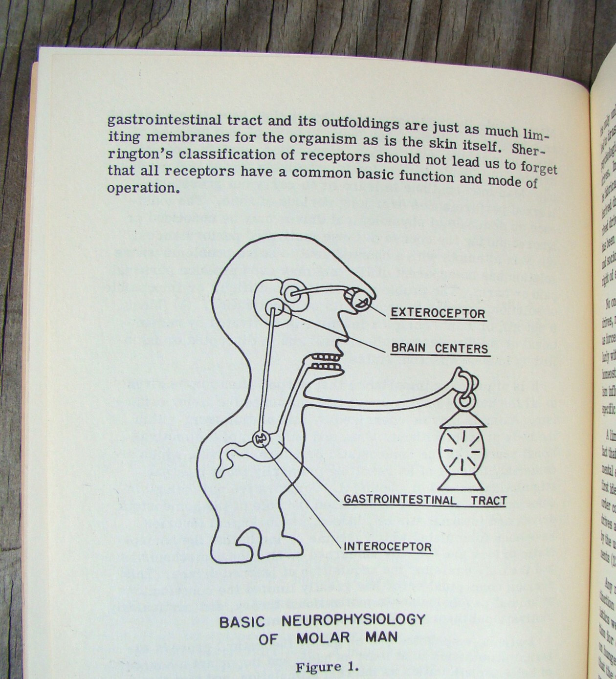 Nebraska Symposium On Motivation ~23 Vols 1953-75~ Animal Experiments Sex Gender