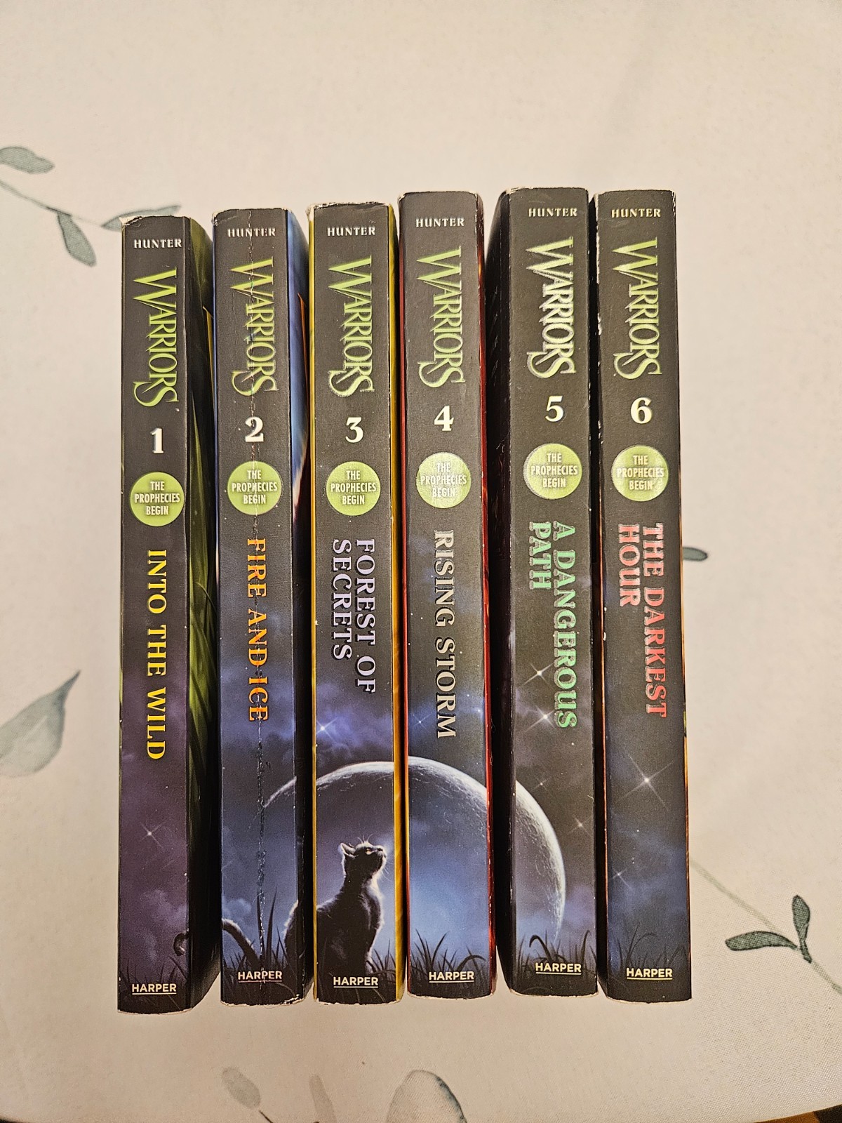 Set Of All 6 Erin Hunter Warriors Books 1st Series „The Prophecies Begin“