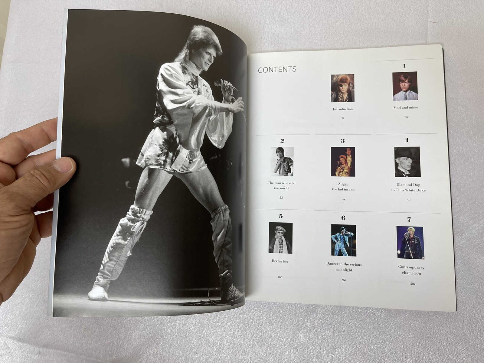 David Bowie Style By : Danny Lewis LARGE 8.7″ x 10.5″ 2012 First Edition