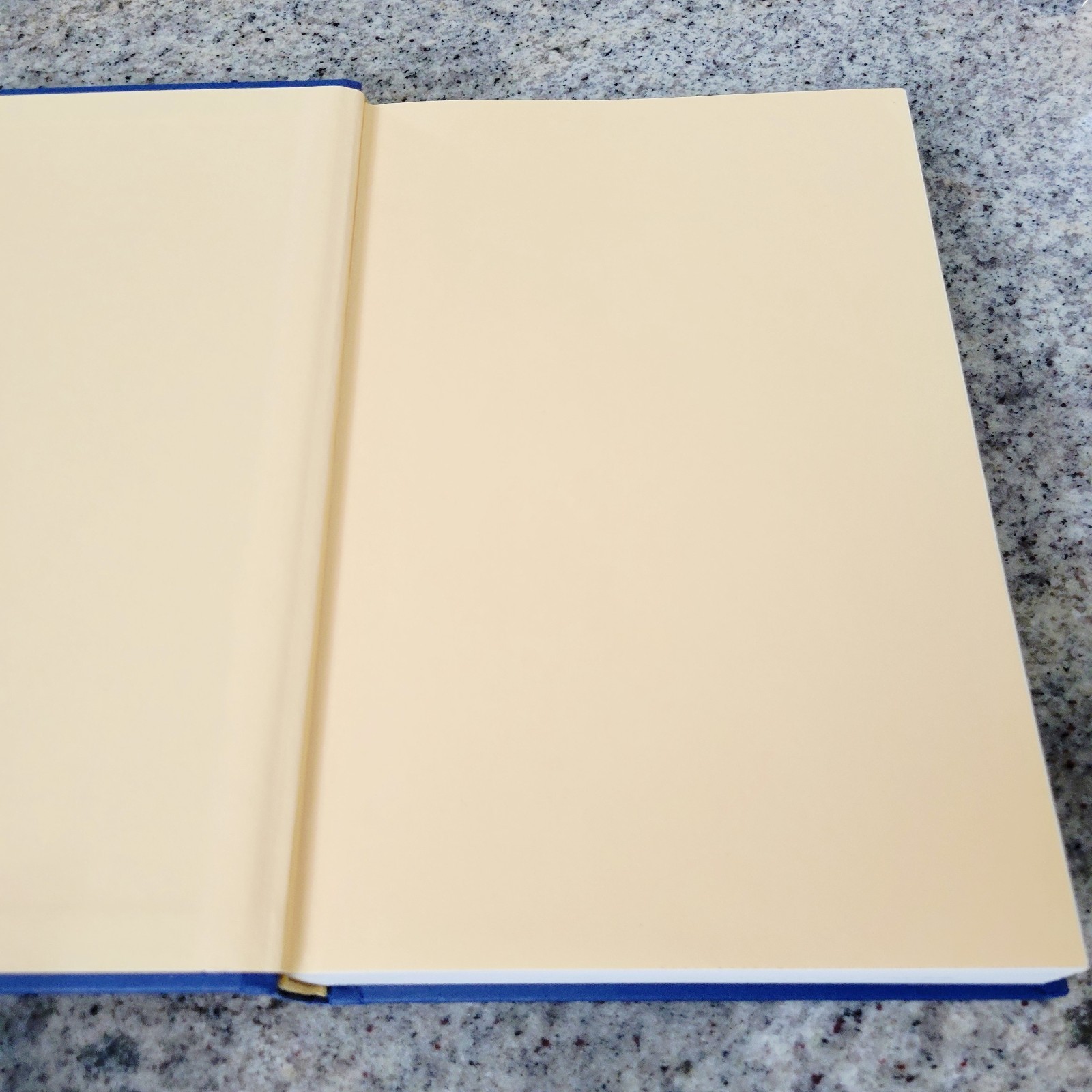 Chasing the Scream Johann Hari 2015 First Edition Hardcover War on Drugs