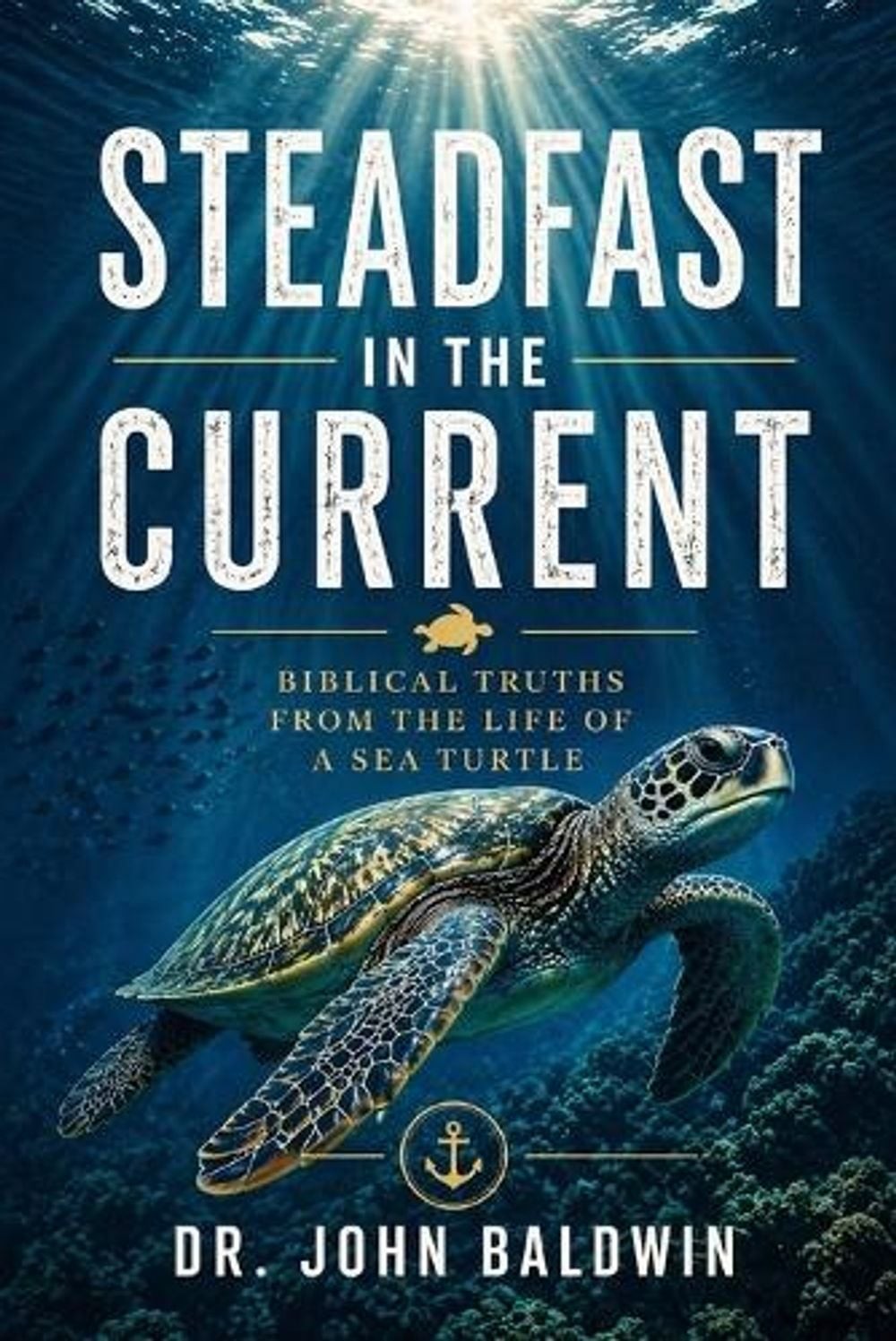 Steadfast in the Current: Biblical Truths from the Life of a Sea Turtle by John