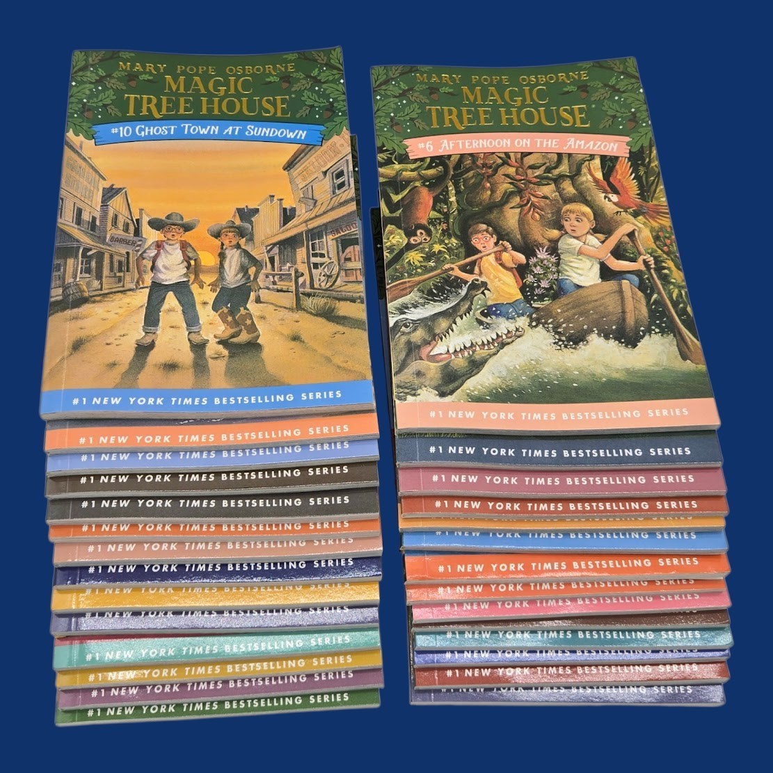 Set 5A: Magic Tree House A Library of Books 1-28 – Mary Pope Osborne Collection