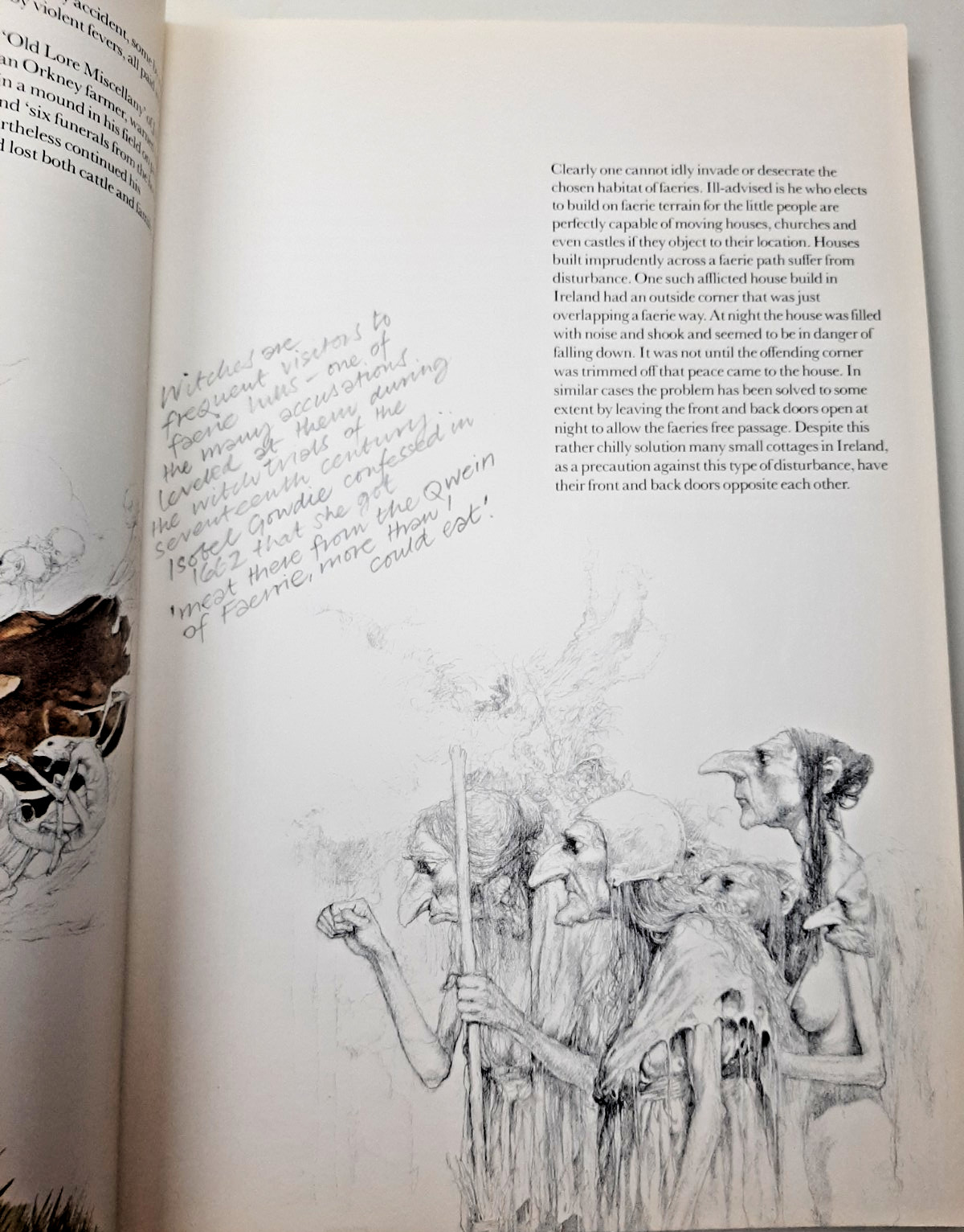 Vintage Faeries Book 1978 First Edition Printing Brian Froud Mythical Fairy Art
