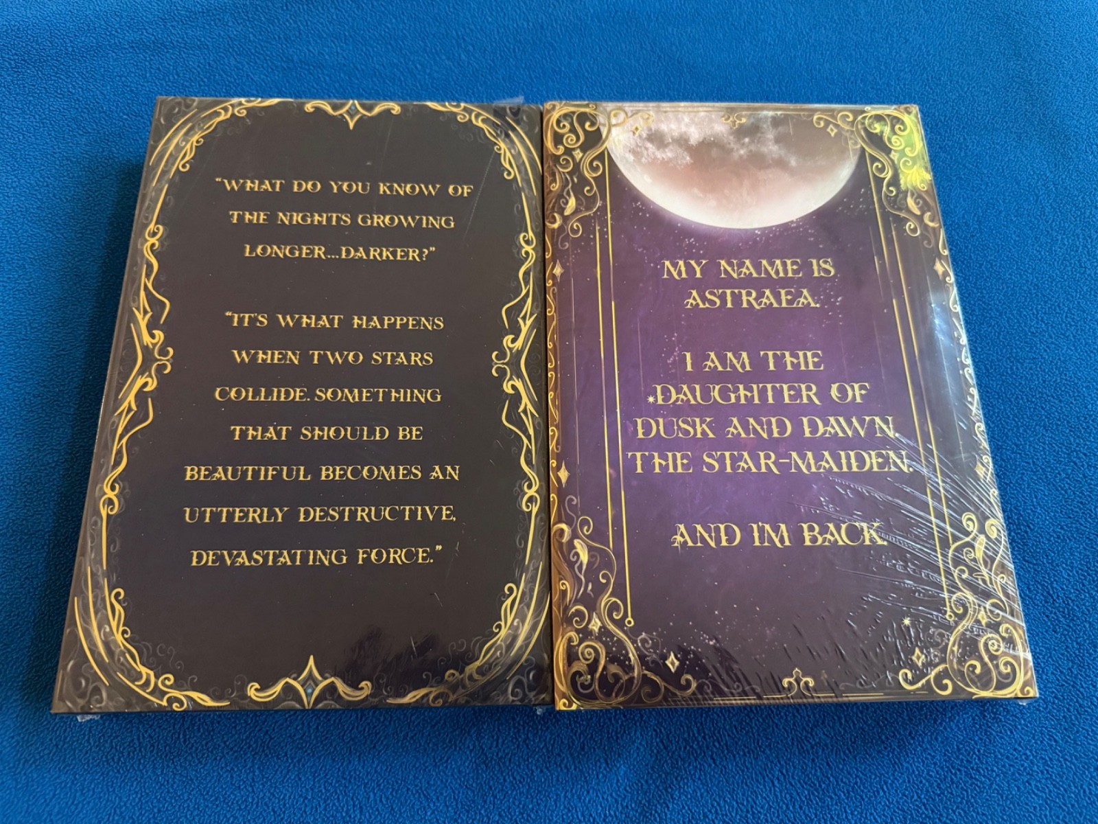 Bookish Box The Stars Are Dying & The Night is Defying by Chloe C Penaranda