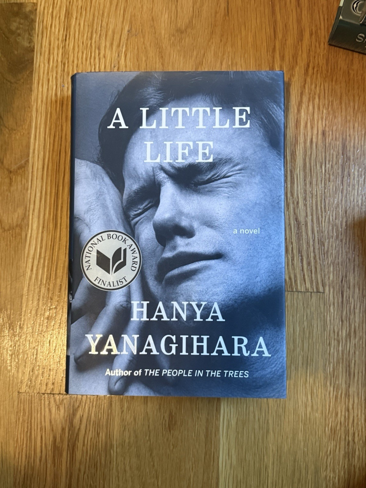 Hanya Yanagihara A Little Life: A Novel Hardcover 2015 Knopf Doubleday