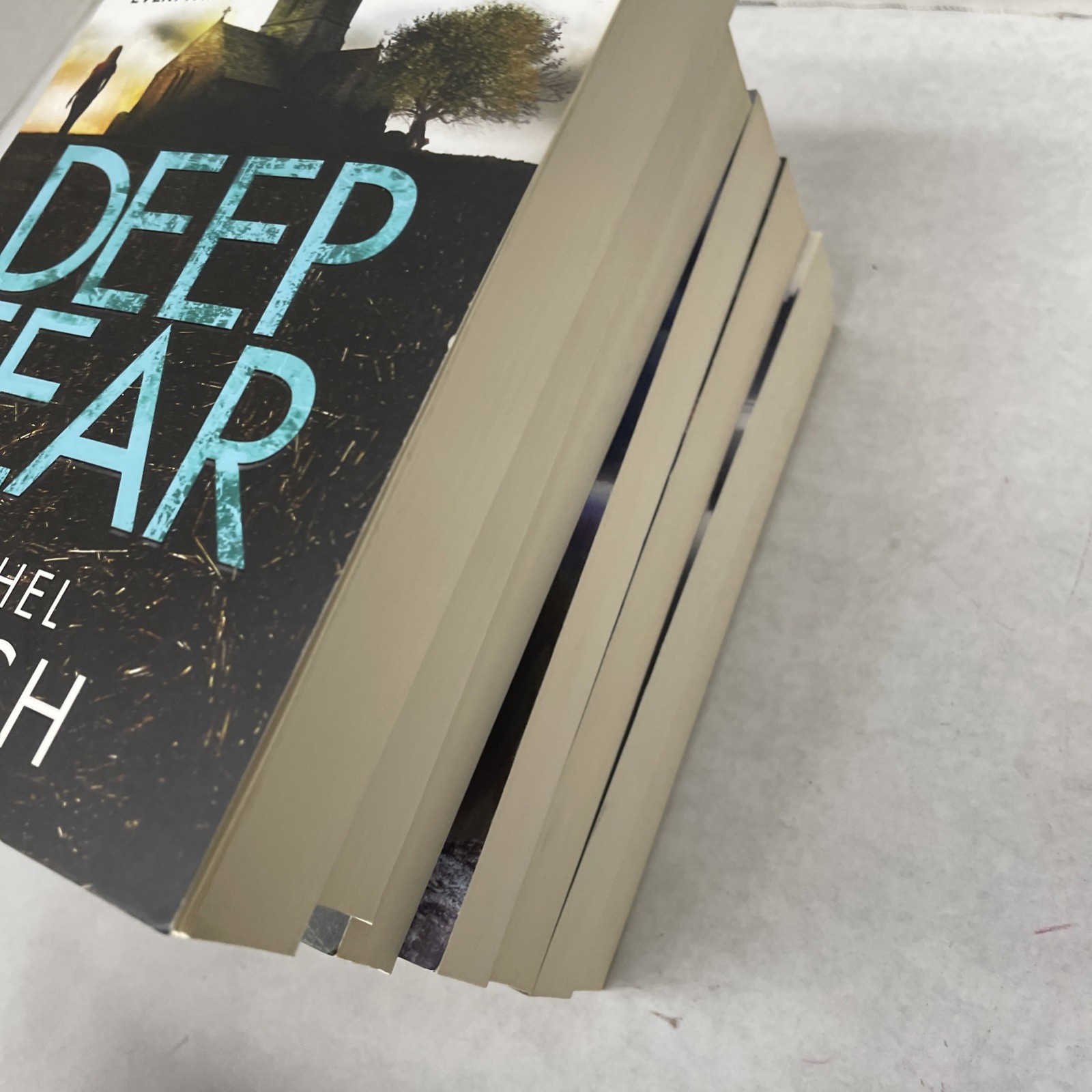 Rachel Lynch First 7 of Kelly Porter Series (See Photos for Titles)