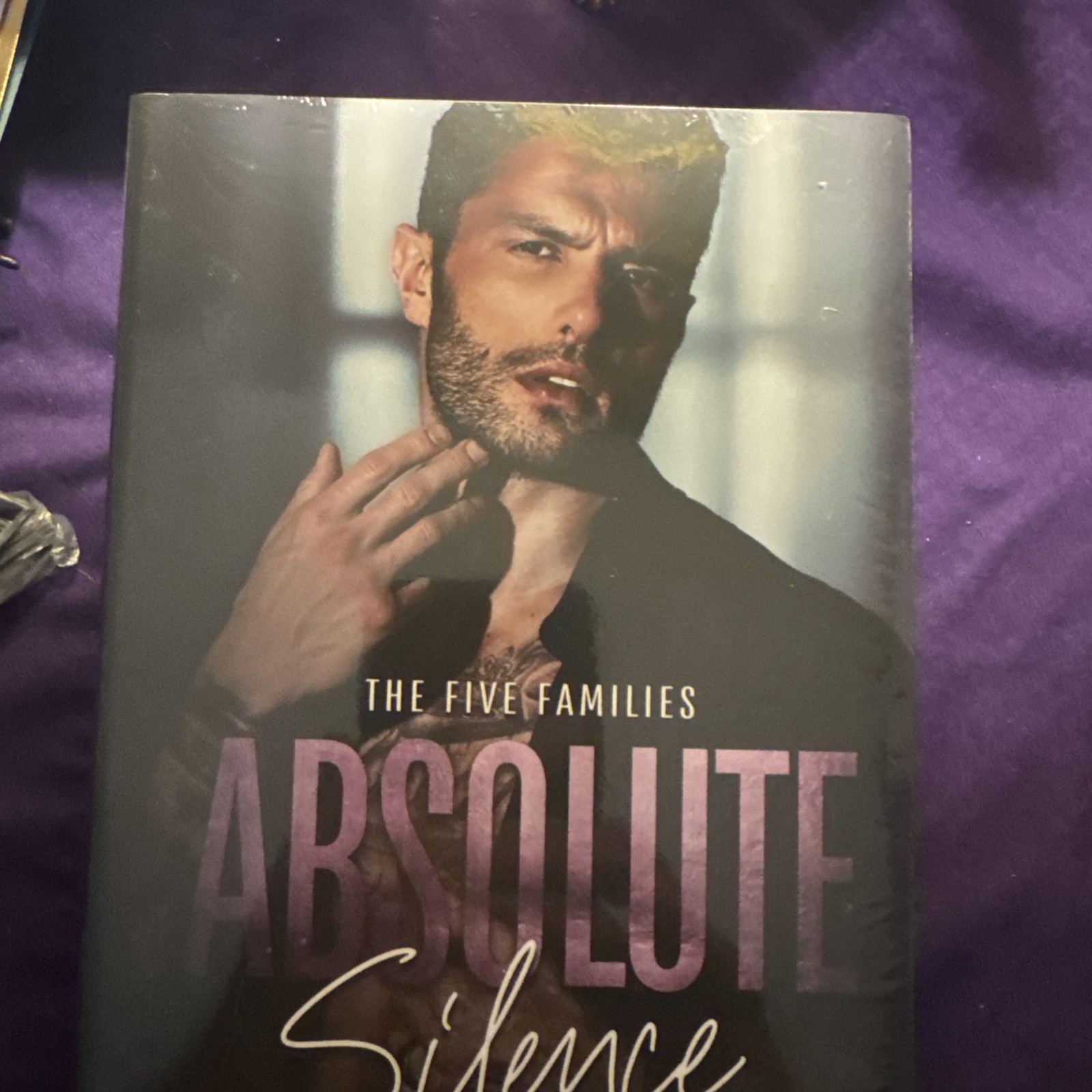 The Five Families Series Dark Mafia Spicy Romance Jill Ramsower #1-6 + Loyalty’s