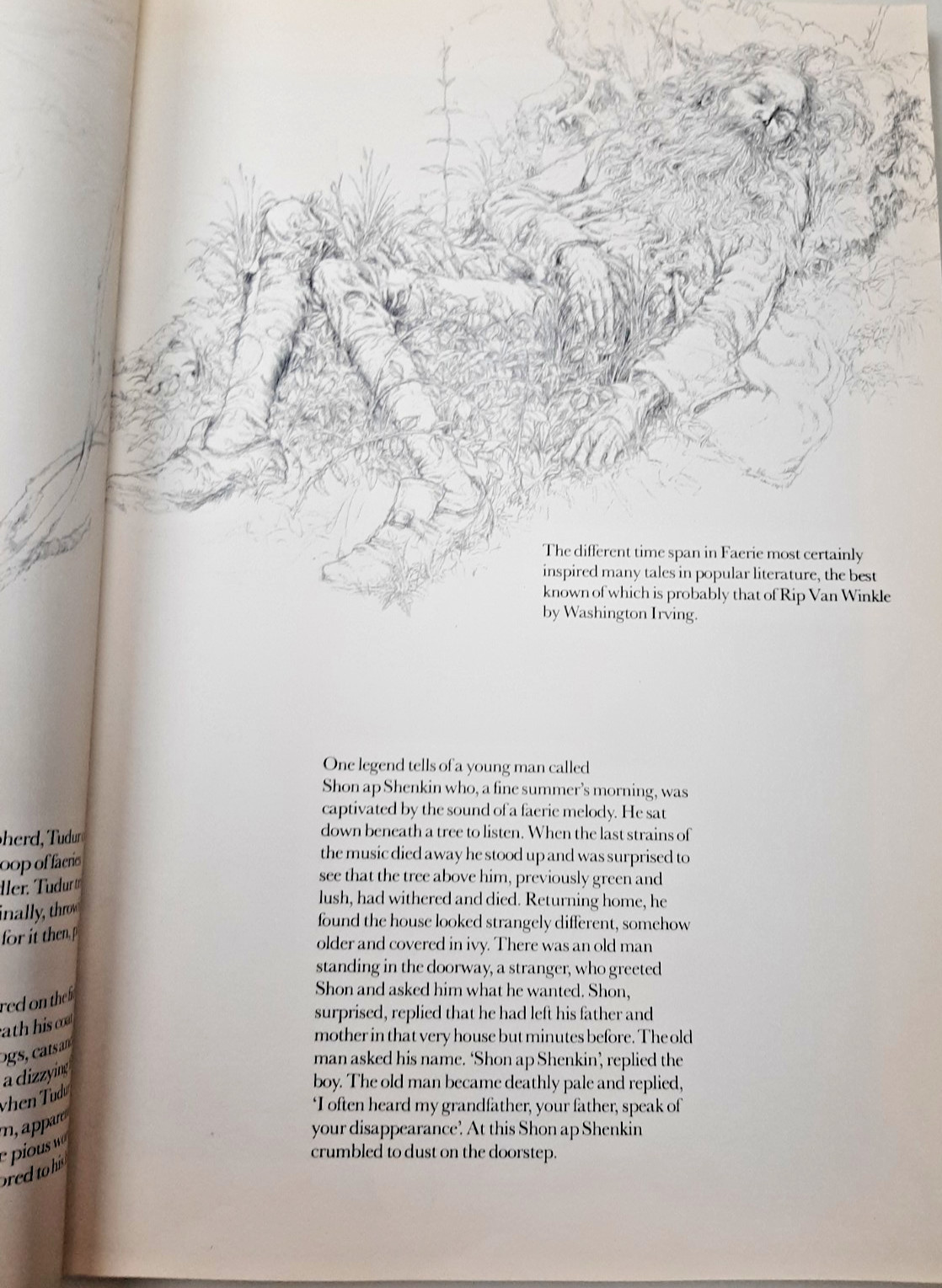 Vintage Faeries Book 1978 First Edition Printing Brian Froud Mythical Fairy Art