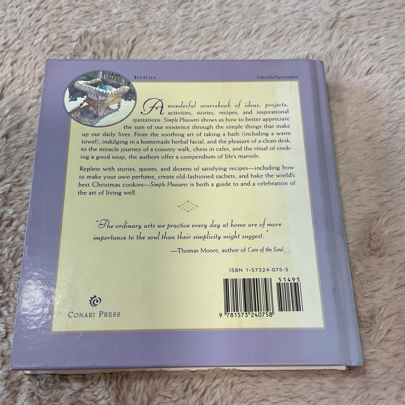 Simple Pleasures – Robert Taylor – Mango Media 2005 Hardcover – Nature Crafts