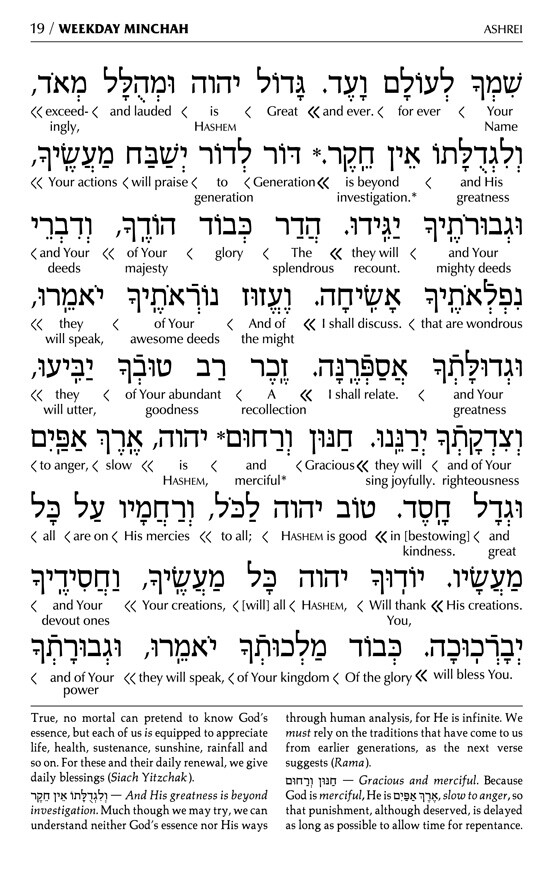 Artscroll Hebrew English Deluxe Interlinear Pocket Size Siddur &Tehillim Set