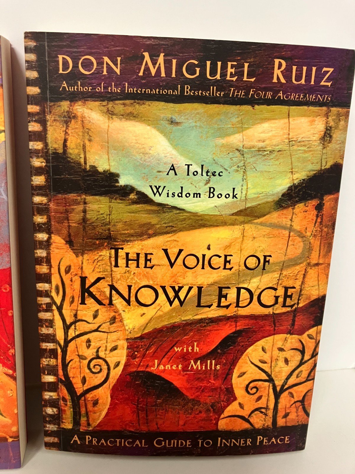 Lot of 3 Don Miguel Ruiz Voice of Knowledge Mastery of Love Four Agreements NEW