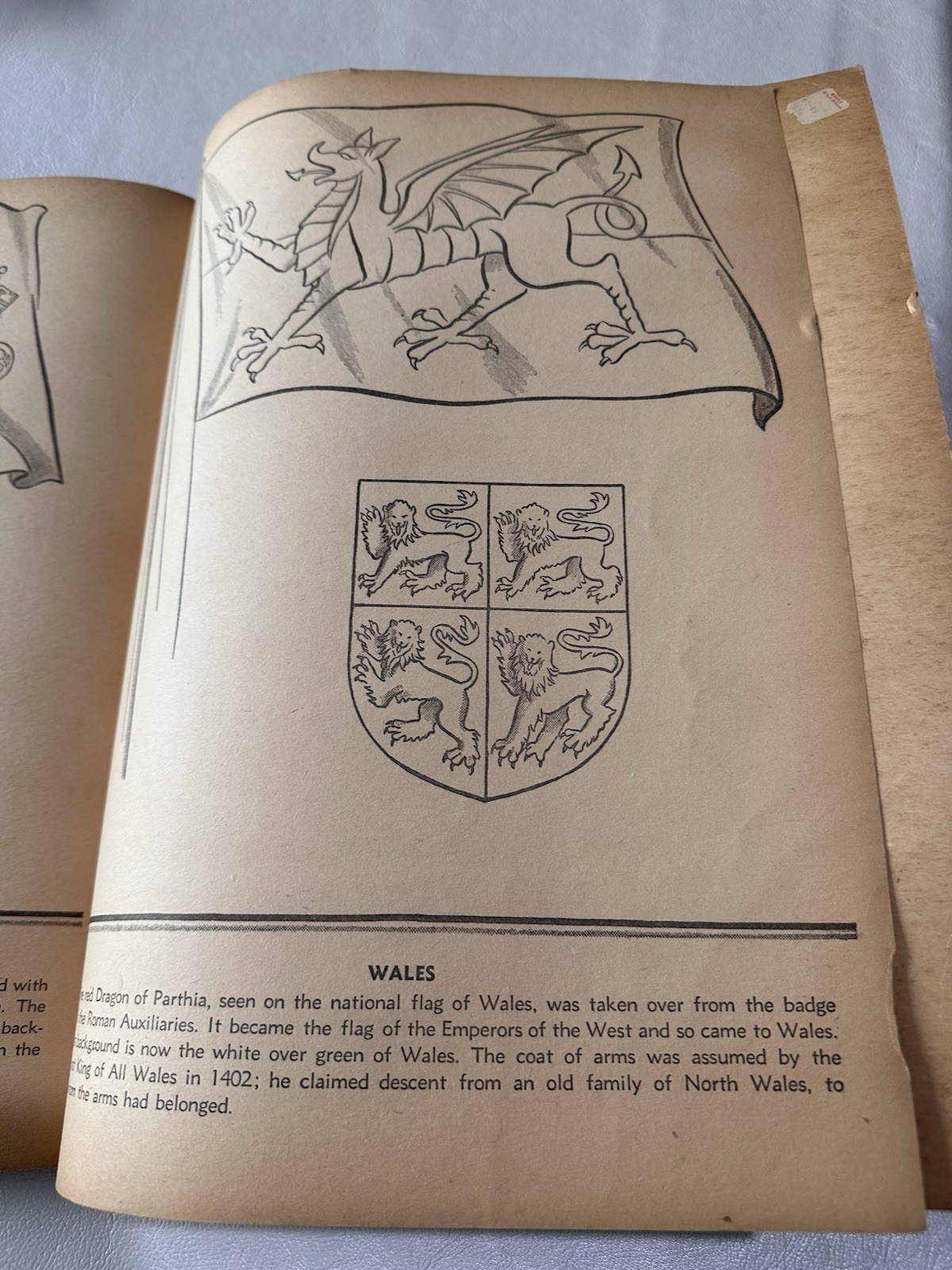 Vintage National Flags Coloring Book 48 Pages
