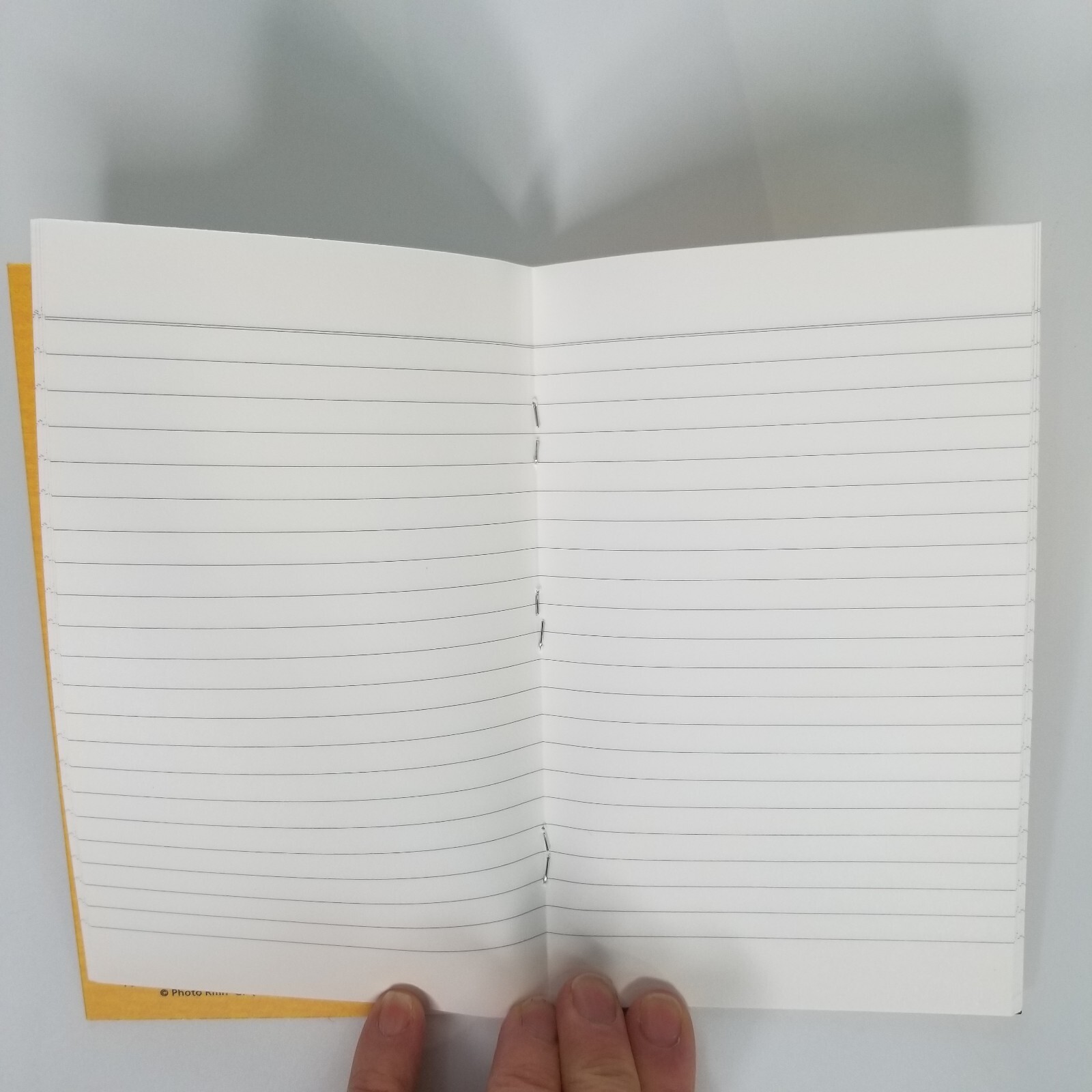 Vermeer The Lacemaker Painting Small Lined Notebook Louvre Museum 56 Blank Pages