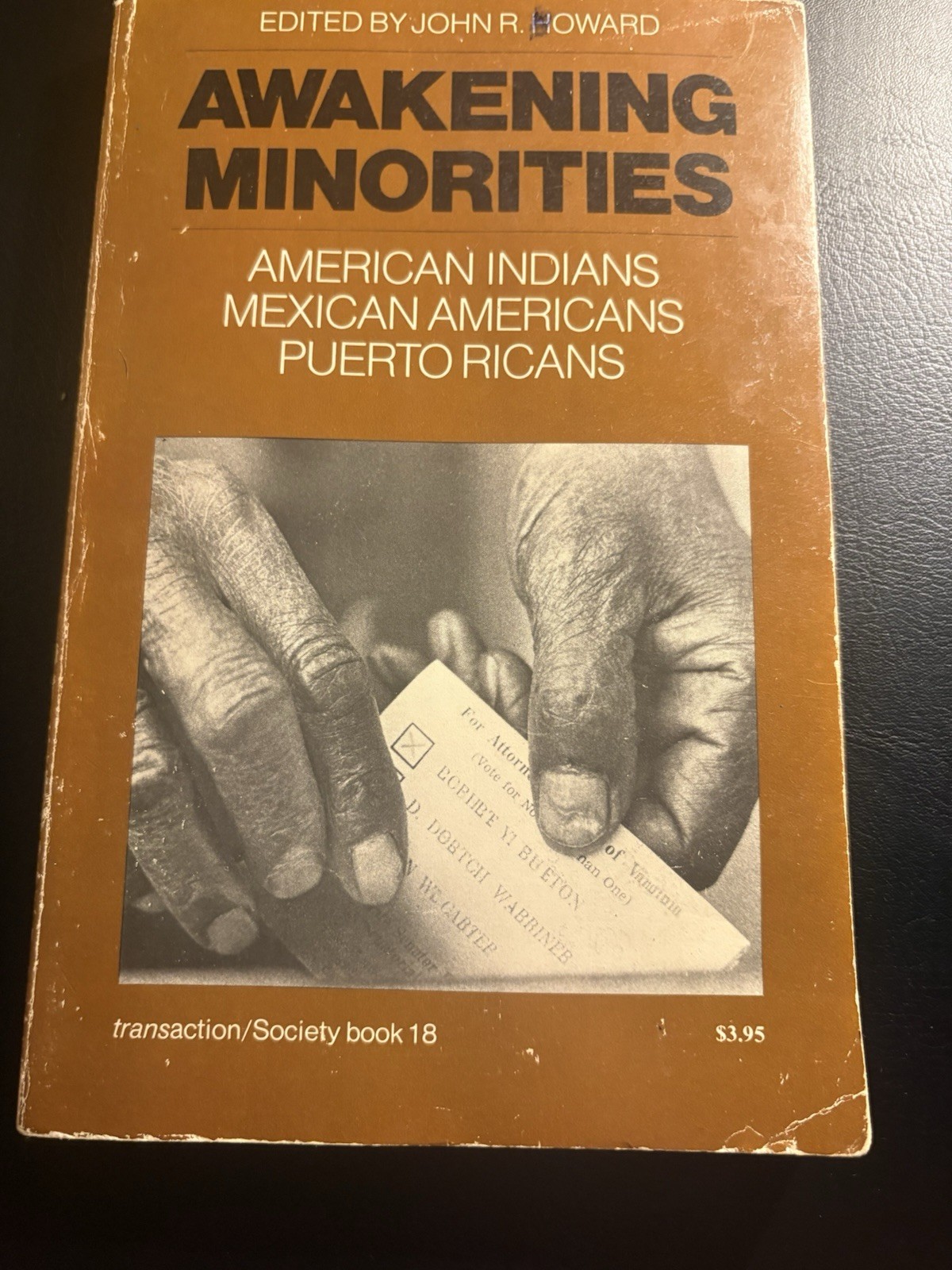 Awakening Minorities 1970 PB Chicano Native Puerto Rican