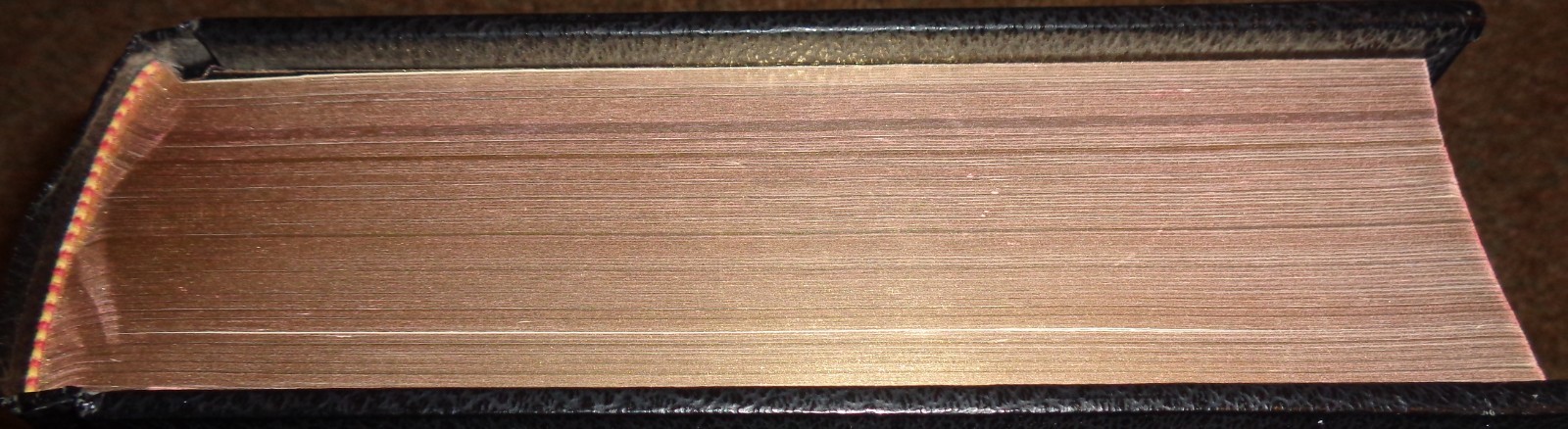 La Sagrada Biblia Edicao Da Palavra Viva Collectible Portuguese Bible (NICE)