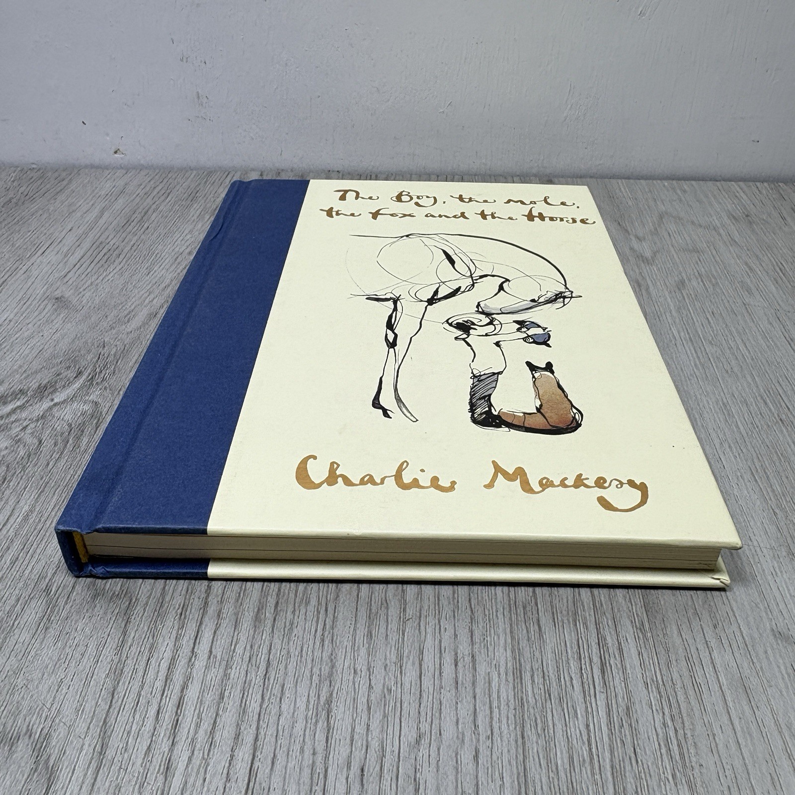 The Boy, the Mole, the Fox, and the Horse – Hardcover By Mackesy, Charlie
