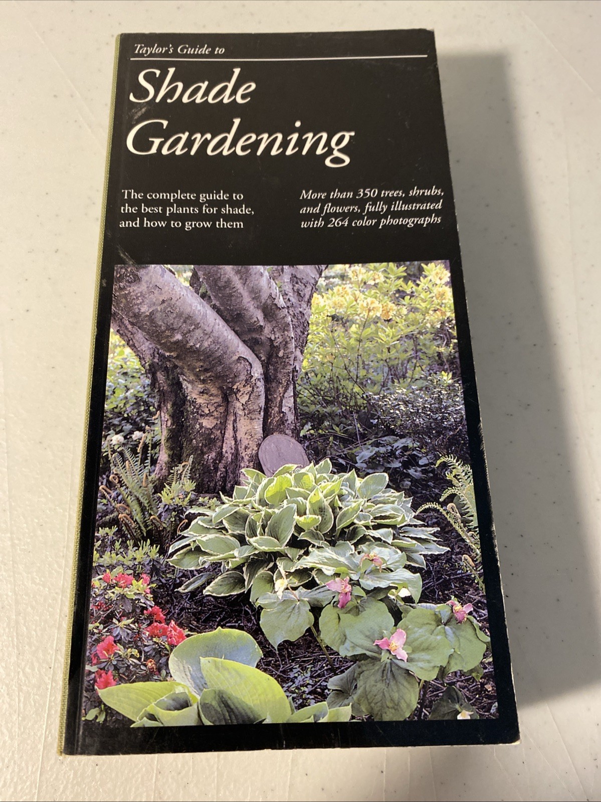 Taylor’s Guides Lot of 4 Shrubs, Garden Design, Shade Gardening, Techniques
